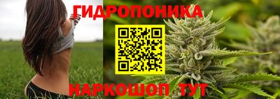 spice Кимры