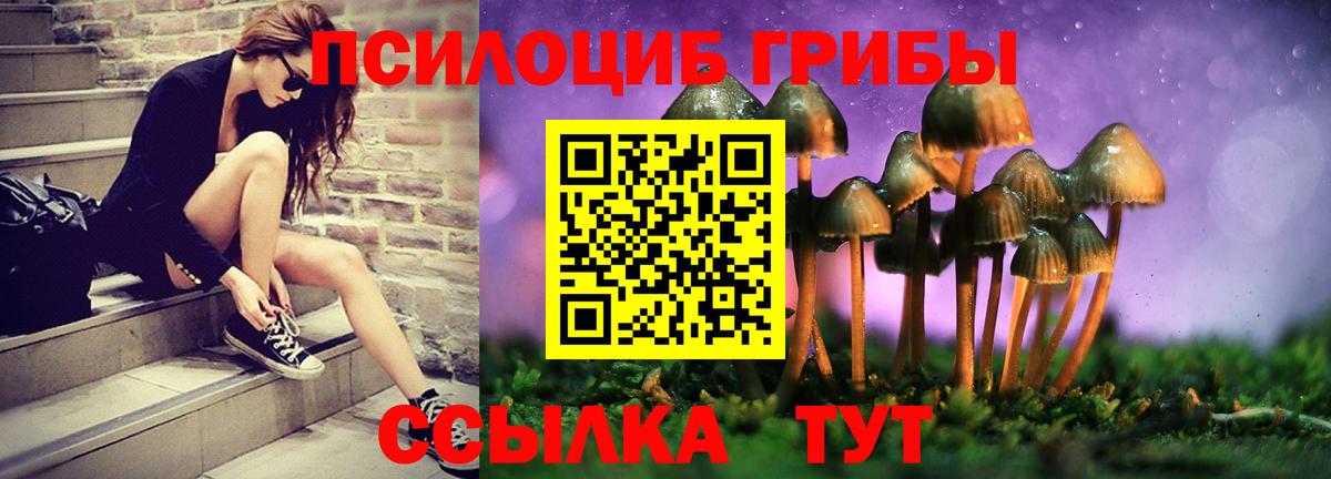 Красноармейск  Псилоцибиновые грибы Psilocybine cubensis  Вход с VPN  Псилоцибиновые грибы мухоморы 